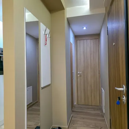 Aura Vracar - Appartement