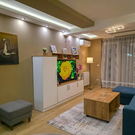 Aura Vracar - Appartement