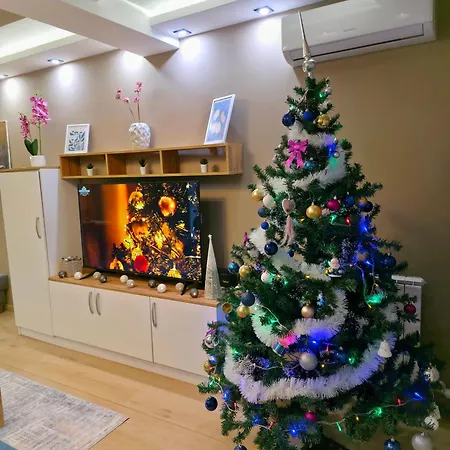 Aura Vracar - Appartement