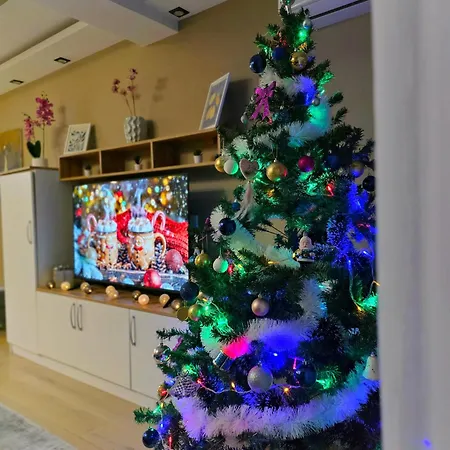 Aura Vracar - Belgrado