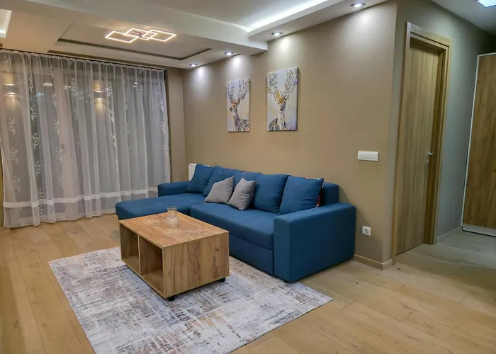 Aura Vracar - Belgrade