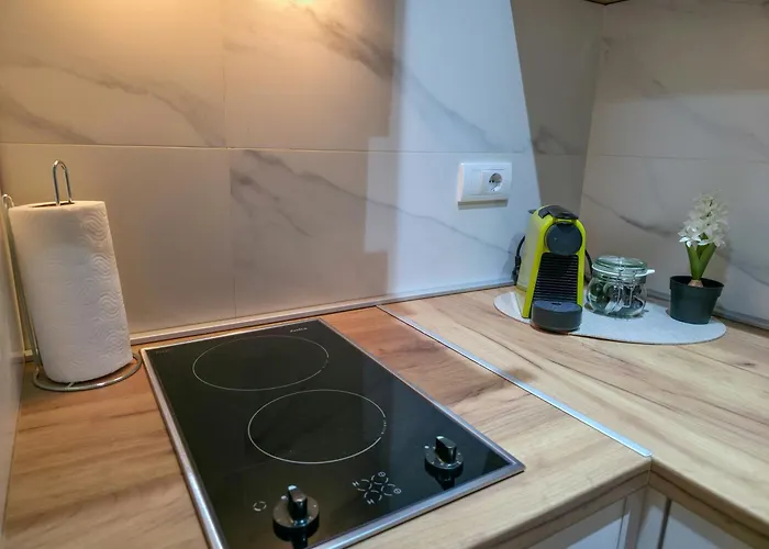 Aura Vracar - * Belgrade